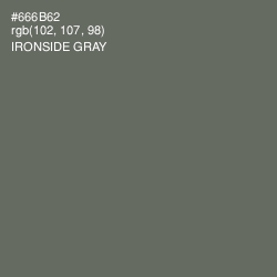 #666B62 - Ironside Gray Color Image